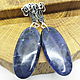 Earrings with sodalite Blue, Earrings, Gatchina,  Фото №1