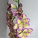 Гладиолус из полимерной глины для высокой вазы, Цветы, Санкт-Петербург,  Фото №1