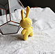 Bunny in yellow coat, Stuffed Toys, Gukovo,  Фото №1