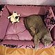 Заказать Лежанка "ДИВАНЧИК" для домашних питомцев. ZooBed. Ярмарка Мастеров. . Лежанки Фото №3