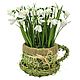 Snowdrops in wicker planters-Cup. Composition. best-coll-mos. Online shopping on My Livemaster.  Фото №2