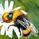 Painting Bumblebee on a chamomile Field Flower oil painting. Pictures. Lana Zaitceva. Online shopping on My Livemaster.  Фото №2