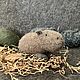Капибара. Мягкие игрушки. Игрушки добрые (Оксана). Ярмарка Мастеров.  Фото №10