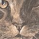  ' Portrait of a cat' - pastel drawing. Pictures. flamemilady. My Livemaster. Фото №4