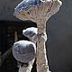 Catathelasma Imperiale. Interior mushroom. Figurines. Steamwatch. Online shopping on My Livemaster.  Фото №2