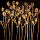 Picture: Dried flowers gold, Pictures, Moscow,  Фото №1