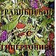 Травяной чай Гипертония, Травы, Набережные Челны,  Фото №1