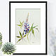 Люпин, Акварель с цветком. Картины. WaterColorForever. Ярмарка Мастеров.  Фото №4