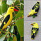 Brooch Oriole. Brooches. Felted toys - WoolenTone. My Livemaster. Фото №6