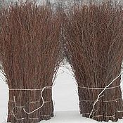 Материалы для творчества handmade. Livemaster - original item Birch rods.branches for wreaths.brooms`.nests`.. Handmade.