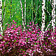 Картина маслом Багульник в лесу. Лесной пейзаж маслом в гостиную, Картины, Москва,  Фото №1