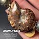  Талисман с удивительным моллюском - аммонит, Денежный магнит, Екатеринбург,  Фото №1