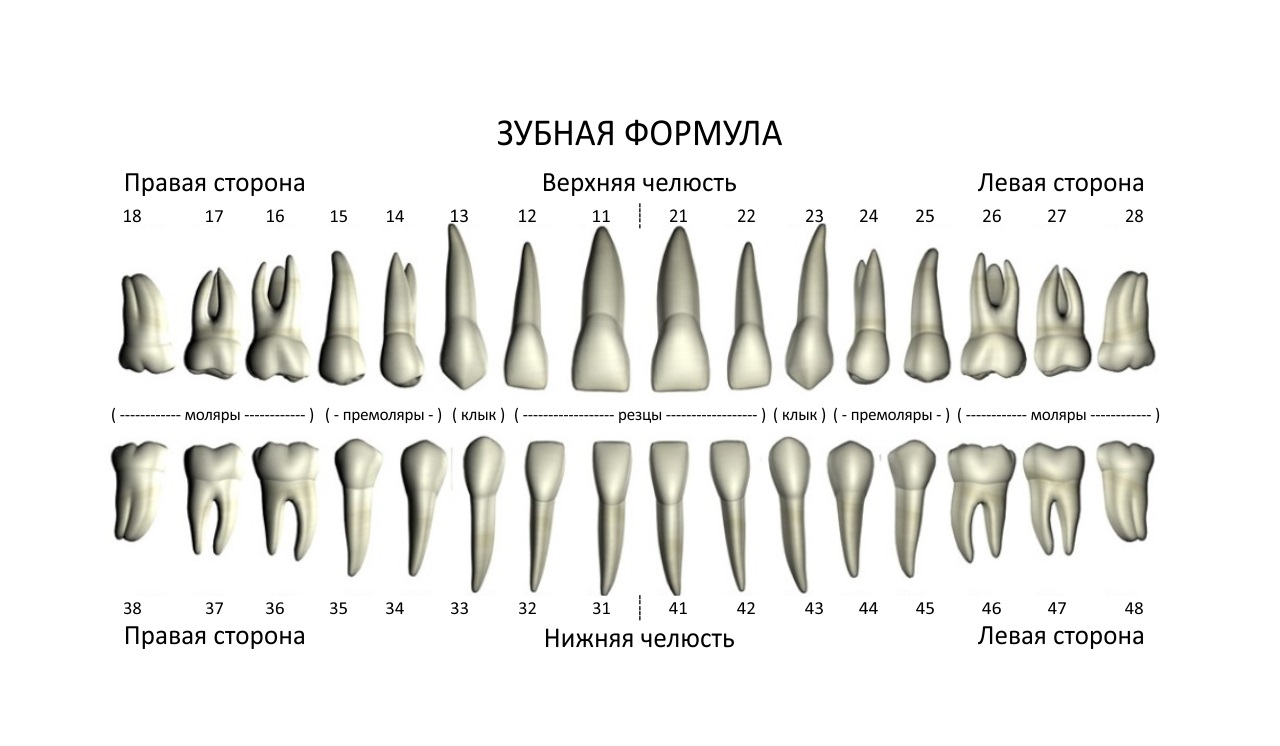 Мой профиль
