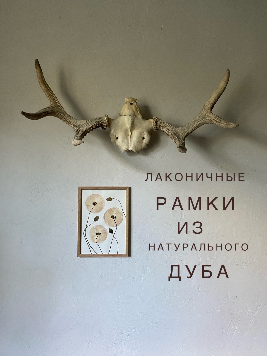 Впишутся в любое пространство 