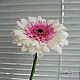 Gerbera pink and White polymer clay. Composition. Marina Zhadan. My Livemaster. Фото №4