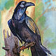  Raven. Watercolor, Pictures, Penza,  Фото №1