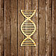 Молекула ДНК, настенный декор из дерева. Элементы интерьера. Wooden Decor Shop. Ярмарка Мастеров.  Фото №4
