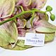 Заказать Винтаж: Villeroy & Boch орхидеи Artifical Flowers. Подвальчик замка Штоссберг. Ярмарка Мастеров. . Предметы интерьера винтажные Фото №3