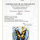 Серия картин маслом 2 шт  «Butterfly» 40/40 см художник Чернова Ольга. Картины. Студия художников «Мастихин» Северск. Ярмарка Мастеров.  Фото №7