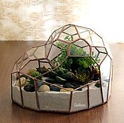 Цветы и флористика handmade. Livemaster - original item The Floriana. Geometric Floriana glass. Succulents. Handmade.