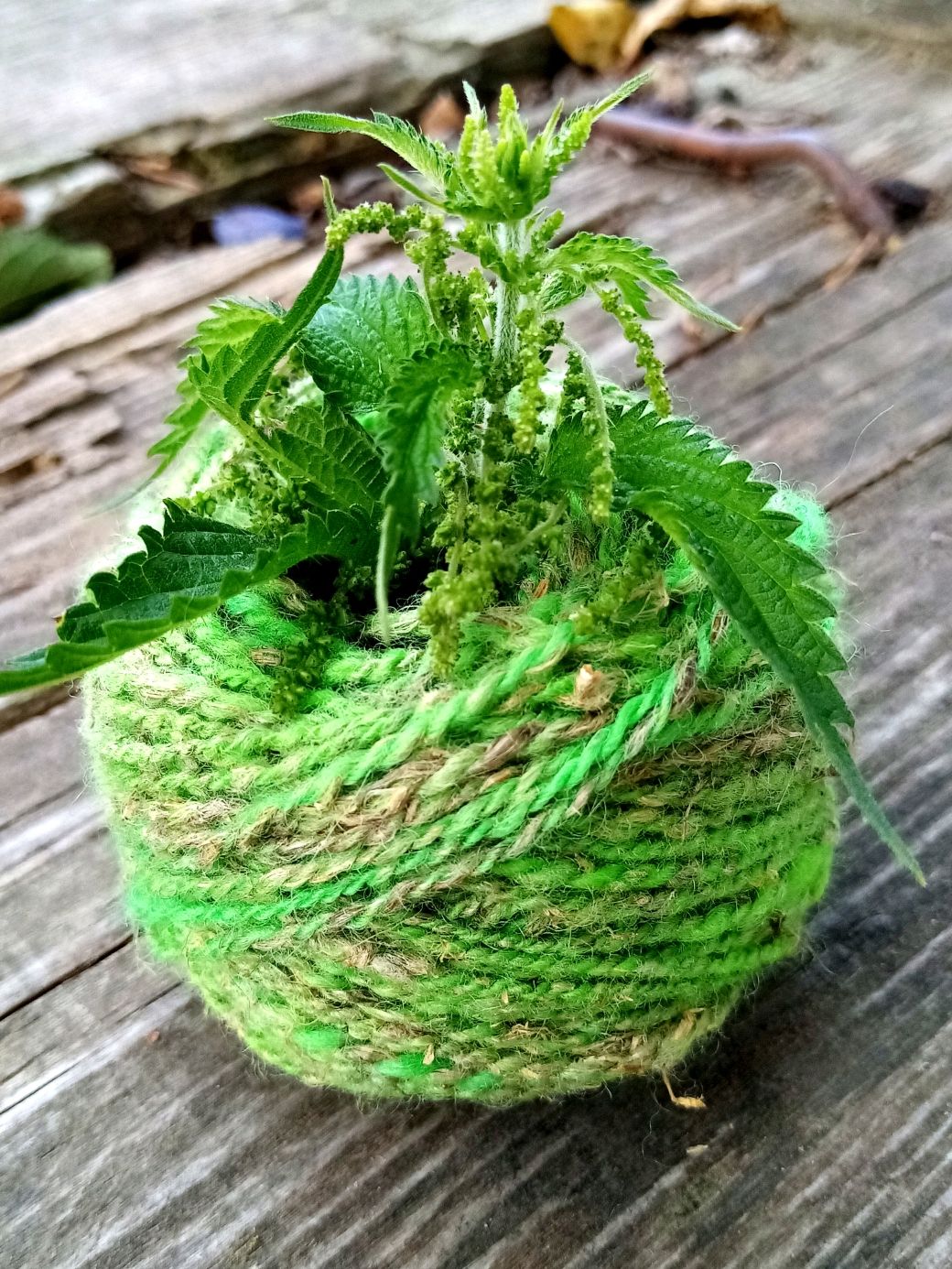 крапива пряжа интернет магазин. пряжа крапивная черный. пряжа крапивная 20/1. крапива пряжа интернет магазин. пряжа пехорка крапивная.