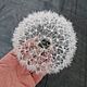 Заказать Брошь одуванчик d 10-11 см шёлковый. Елена Клименок (elena_art_flowers). Ярмарка Мастеров. . Брошь-булавка Фото №3