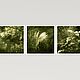 Photo paintings Nature for the interior of the living room Green leaves of the forest 2. Fine art photographs. Rivulet Photography (rivulet). My Livemaster. Фото №5