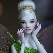 Jointed doll BJD. The world