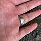 Order Ring with Alatyrs (men's). veseliy-viking. Livemaster. . Rings Фото №3