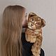 un cachorro de león de peluche, Teddy Toys, Zheleznodorozhny,  Фото №1
