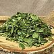 Ivan tea (fireweed). Grass. altayatravy (altayatravy). Online shopping on My Livemaster.  Фото №2