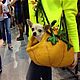 Сумка прогулочная для маленькой собачки "Тыква". Аксессуары для питомцев. Оксана Патрикеева. Интернет-магазин Ярмарка Мастеров.  Фото №2