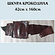Crocodile skin brown IN STOCK. Leather. BurlakovStraps. Online shopping on My Livemaster.  Фото №2