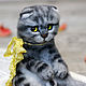 Котик Жорик. Войлочная игрушка. Бычкова Ольга. Ярмарка Мастеров.  Фото №5