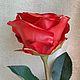 Роза из холодного фарфора. Цветы. Цветочный образ. Ярмарка Мастеров.  Фото №5