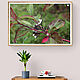 Заказать Дёрен белый, фотокартина для интерьера. Гончарова Юлия. Ярмарка Мастеров. . Фотографии Фото №3