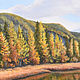 Осенняя гладь горной реки-Чуя. Картины. Сафронова Наталья (Painting-Altai). Ярмарка Мастеров.  Фото №4
