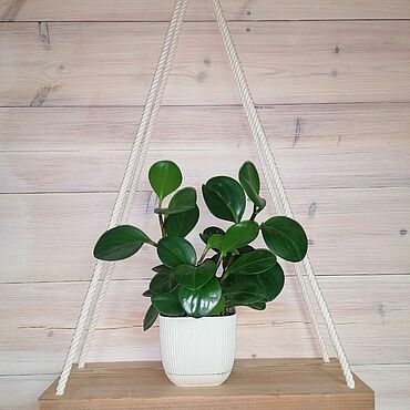 Цветы и флористика ручной работы. Ярмарка Мастеров - ручная работа Полка. Handmade.