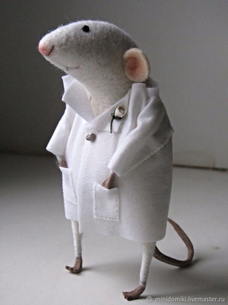 Крыса в одежде