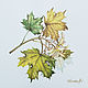 Картина акварелью "Ветка клена". Осень. Ботаника, Картины, Королев,  Фото №1