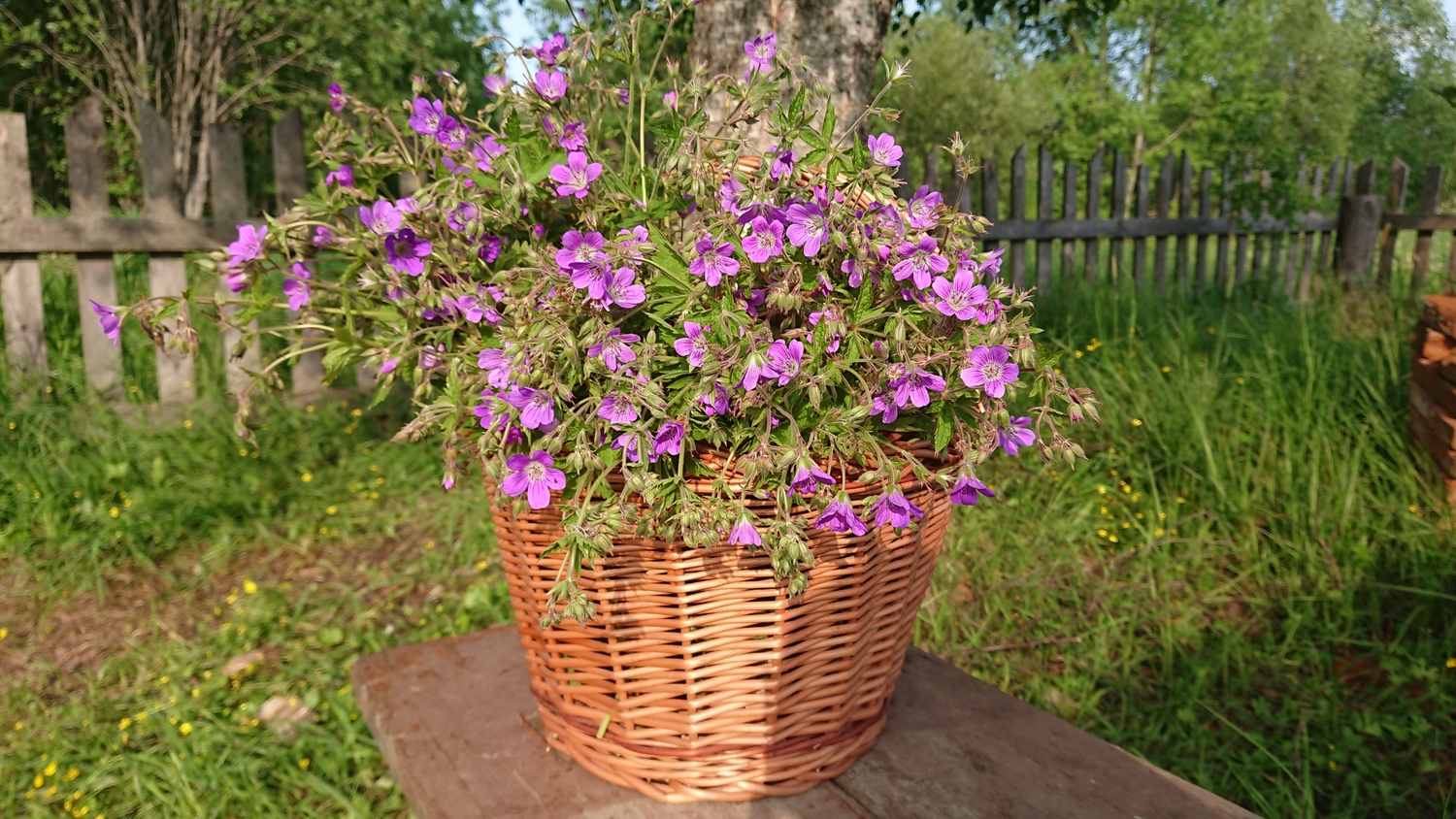 Мой профиль