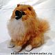 Toy felted. Dog Spitz Gear. Felted Toy. wool gifts. Online shopping on My Livemaster.  Фото №2