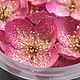 Заказать Сухоцвет Жасмин крашеный до 2,5см/18шт/30мл. wow_flowers_26. Ярмарка Мастеров. . Сухоцветы для творчества Фото №3