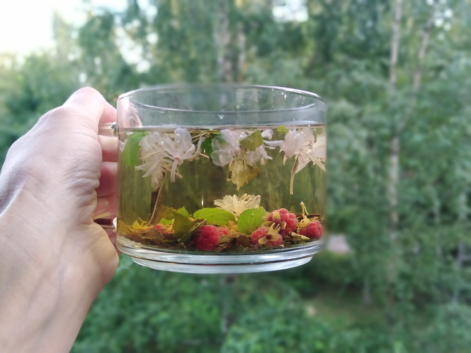 Мой профиль