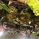 Dolce&Gabbana frame, original, Italy. Vintage spectacles. Dutch West - Indian Company. My Livemaster. Фото №6