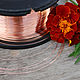 0,3 mm; copper wire, Wire, Moscow,  Фото №1