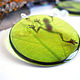 Transparent Round Green Frog Rustic Baby Earrings. Earrings. WonderLand. My Livemaster. Фото №4
