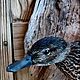 Заказать Чирок утка чучело таксидермическое изделие настенная подставка. Birdmantaxidermy-. Ярмарка Мастеров. . Подарки для охотников и рыболовов Фото №3