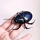 Заказать Черный навозный жук. Dung Beetle (фигурка). Букашки. Ярмарка Мастеров. . Статуэтки Фото №3