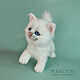 White kitten. Realistic mobile toy